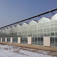 生产玻璃温室大棚